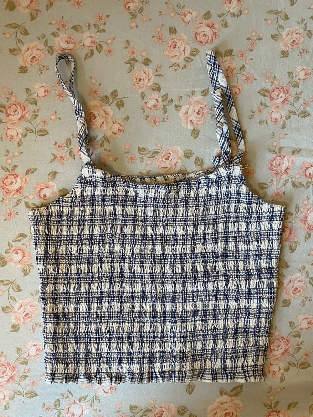 Brandy Melville John Galt Cotton Gingham Blue and White Cami Tank Crop Top